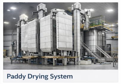Paddy frying system